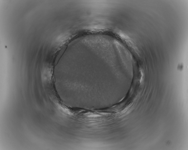 X0000089961300200707201939