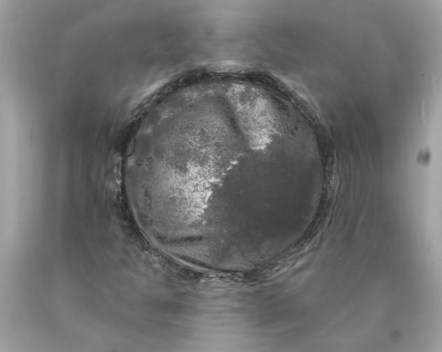 X0000089961301200707201939