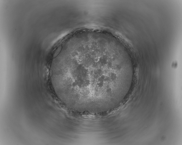 X0000089961302200707201939