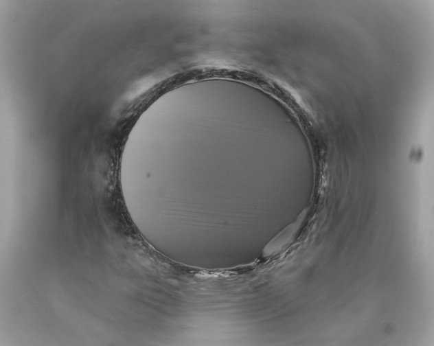 X0000089961303200707201939