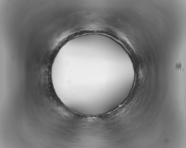 X0000089961304200707201939