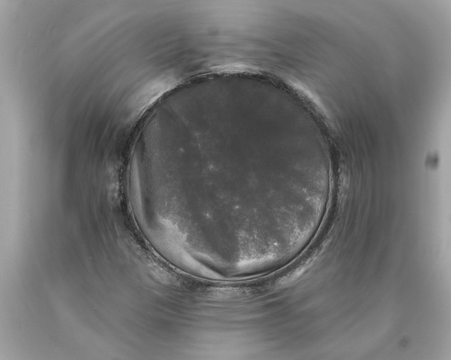 X0000089961305200707201939