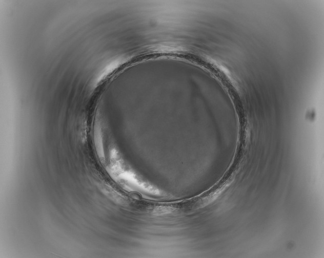 X0000089961306200707201939