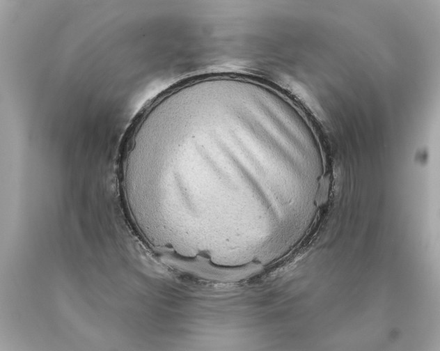 X0000089961308200707201939