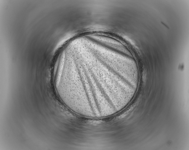 X0000089961309200707201939