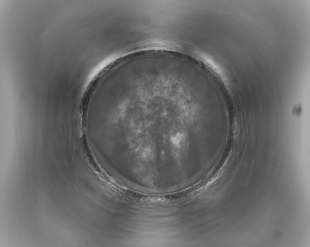 X0000089961310200707201939