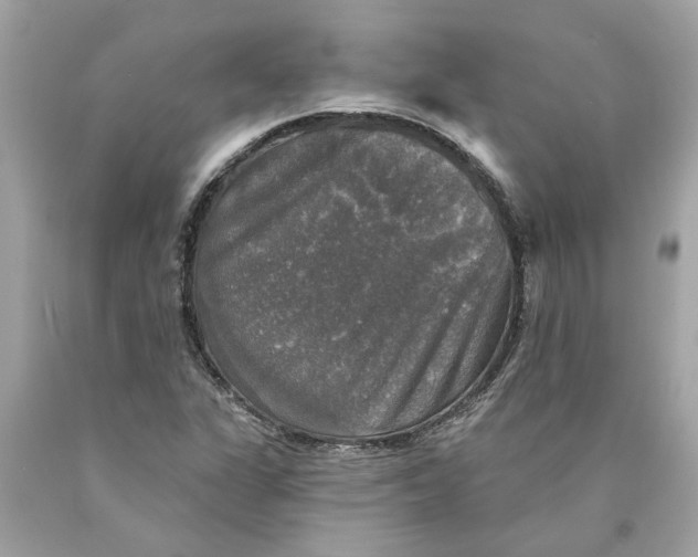 X0000089961311200707201939