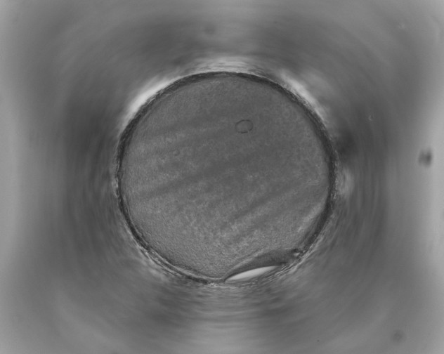 X0000089961312200707201939