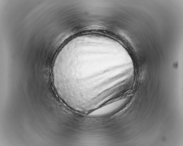 X0000089961313200707201939