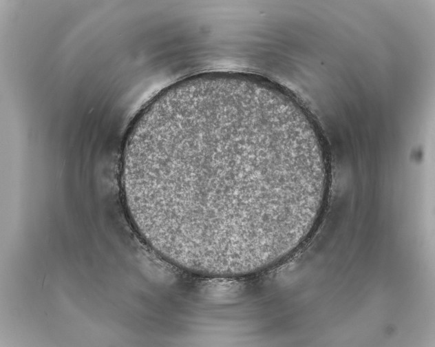 X0000089961314200707201939