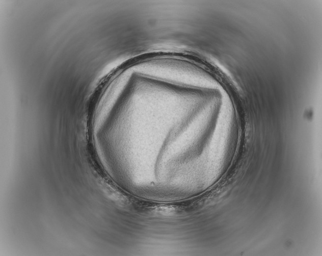 X0000089961315200707201939