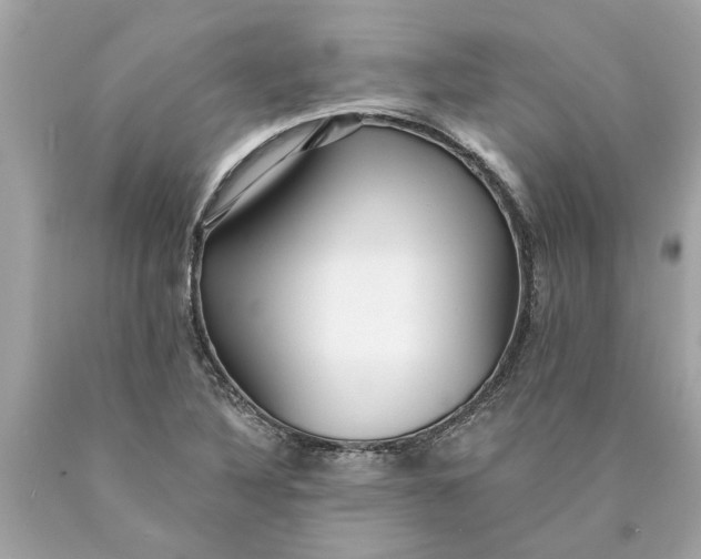 X0000089961316200707201939