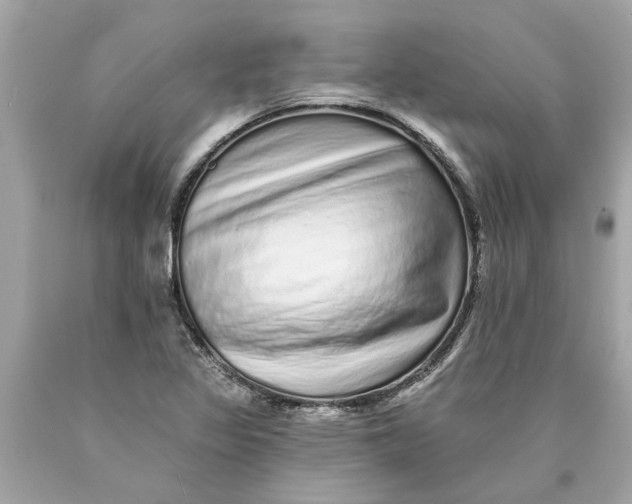 X0000089961317200707201939