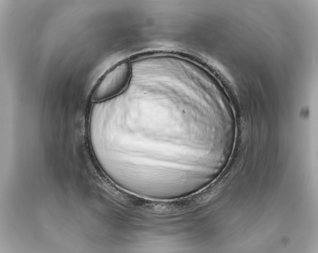 X0000089961318200707201939