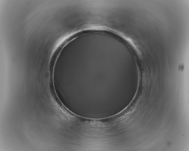 X0000089961319200707201939