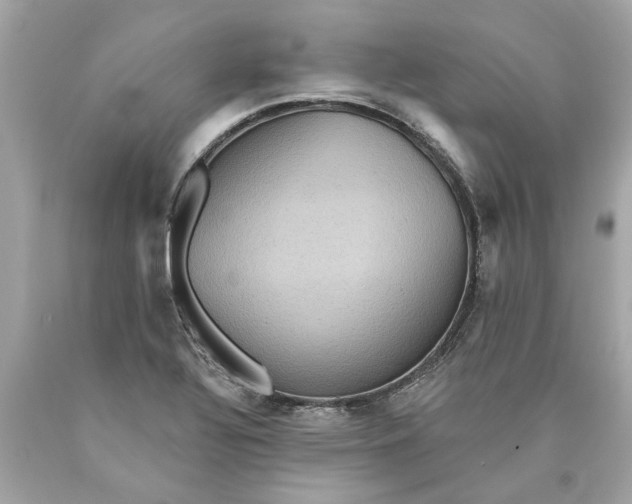 X0000089961320200707201939