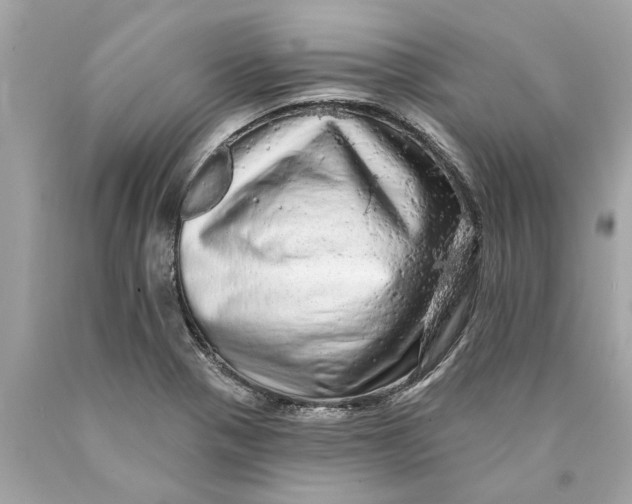 X0000089961321200707201939