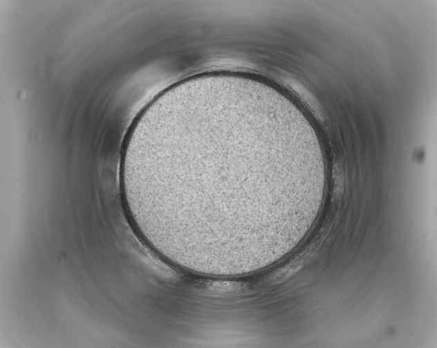 X0000089961322200707201939