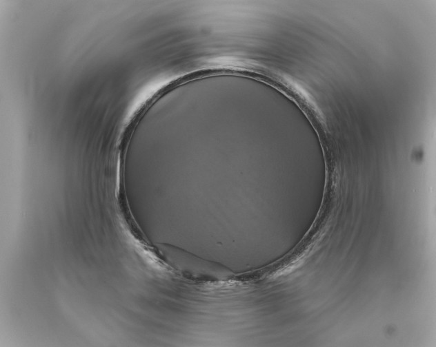 X0000089961323200707201939