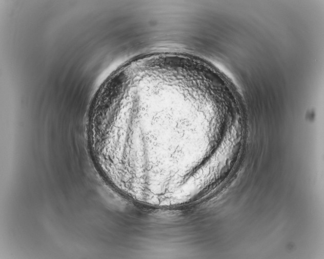 X0000089961325200707201939