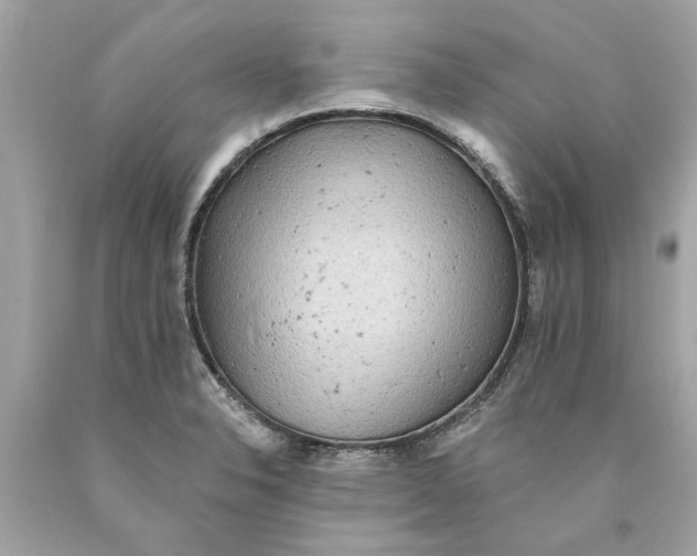 X0000089961326200707201939