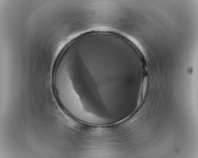 X0000089961327200707201939