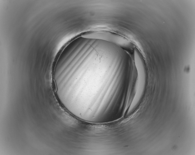 X0000089961328200707201939