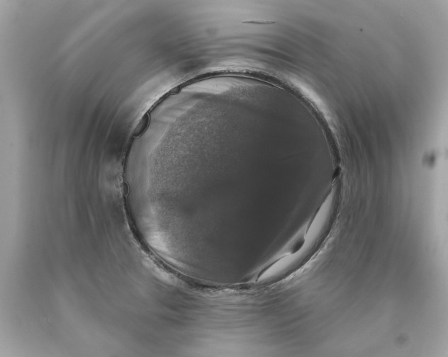 X0000089961329200707201939