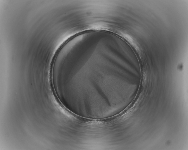 X0000089961331200707201939