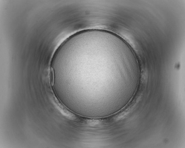 X0000089961332200707201939