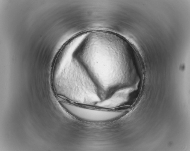 X0000089961333200707201939