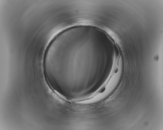 X0000089961334200707201939