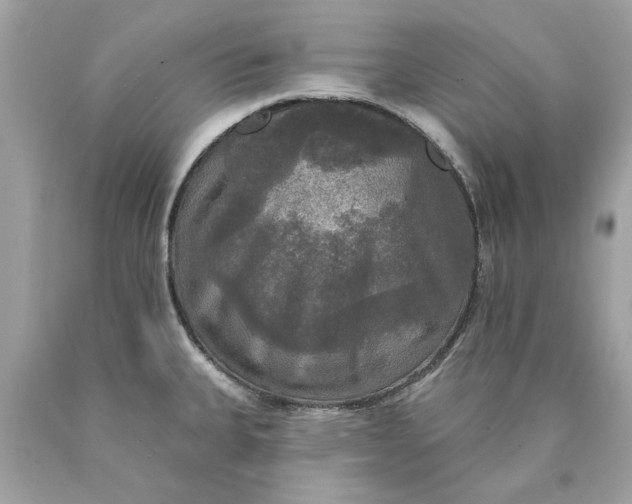 X0000089961335200707201939