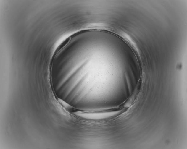 X0000089961336200707201939