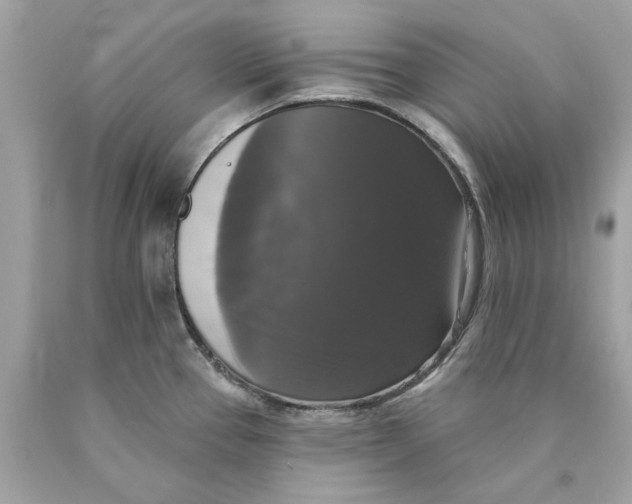 X0000089961337200707201939