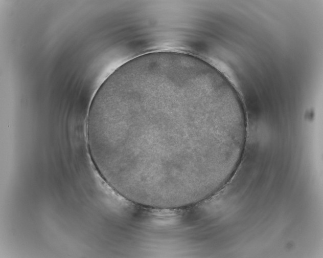 X0000089961338200707201939