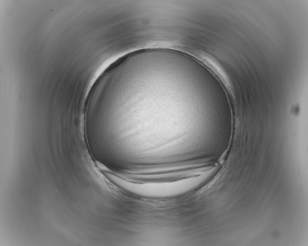 X0000089961340200707201940