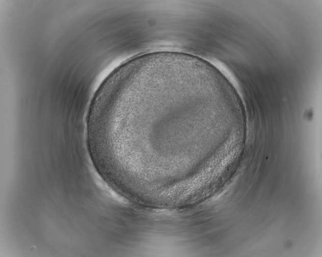 X0000089961341200707201940