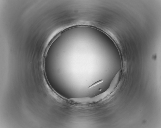 X0000089961342200707201940