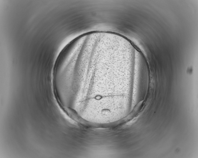 X0000089961343200707201940