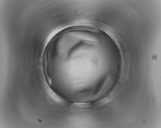 X0000089961344200707201940