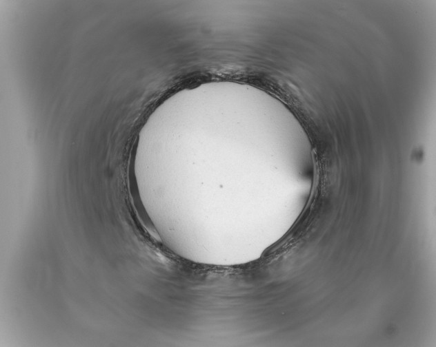 X0000089961345200707201939