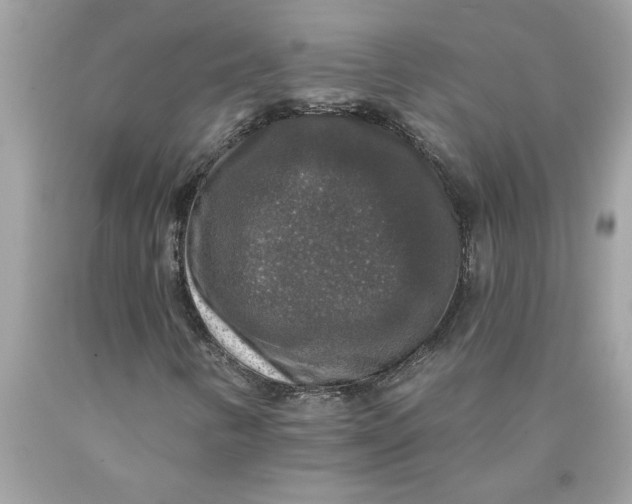 X0000089961346200707201939