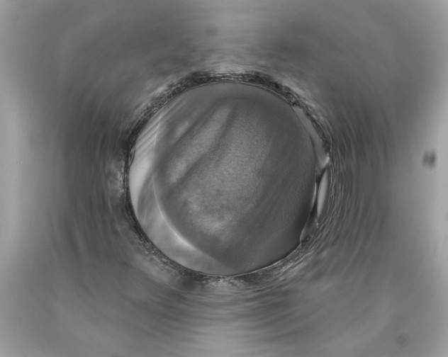 X0000089961348200707201939