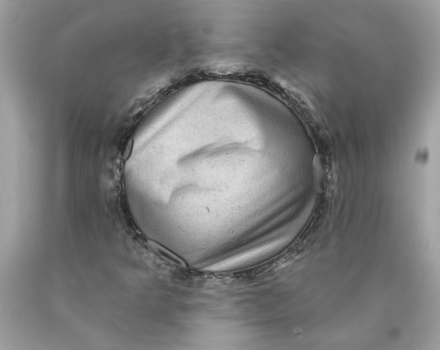 X0000089961349200707201939