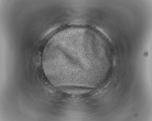 X0000089961350200707201939