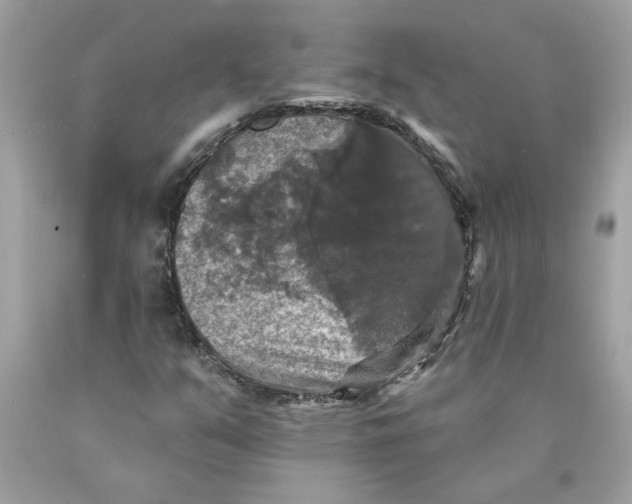 X0000089961351200707201939