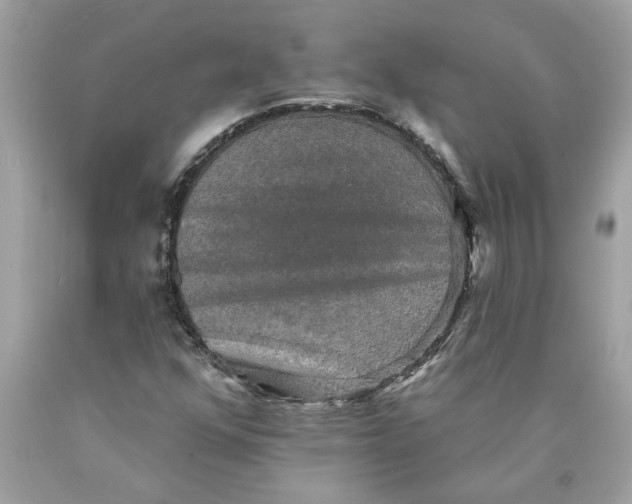 X0000089961352200707201939