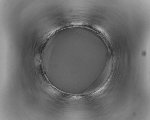 X0000089961353200707201939