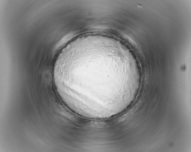 X0000089961354200707201939